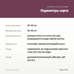 Колеус King Crab (0,1л) — параметры сорта