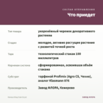 Колеус King Crab (0,1л) — что приедет