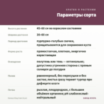 Колеус King Crab (0,1л) — параметры сорта
