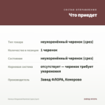 Колеус Kingwood Karnival (срез/1шт) — что приедет