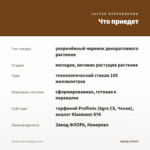 Колеус Koh Phangan (0,1л) — что приедет