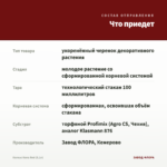 Колеус Kona Red (0,1л) — что приедет