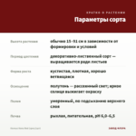 Колеус Kona Red (срез/1шт) — параметры сорта