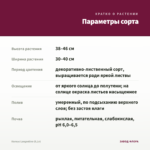 Колеус Langostino (0,1л) — параметры сорта