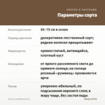 Колеус Lеmon Blush (0,1л) — параметры сорта