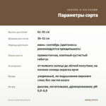 Колеус Lеmon Blush (0,1л) — параметры сорта