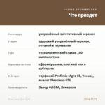 Колеус Lеmon Blush (0,1л) — что приедет