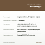 Колеус Lеmon Blush (срез/1шт) — что приедет