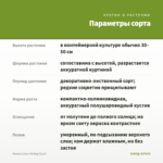 Колеус Lime Chrimp (0,1л) — параметры сорта