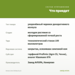 Колеус Lime Chrimp (0,1л) — что приедет