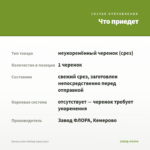 Колеус Lime Chrimp (срез/1шт) — что приедет