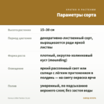Колеус Littlе Twister (0,1л) — параметры сорта