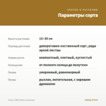 Колеус Littlе Twister (срез/1шт) — параметры сорта