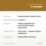 Колеус Littlе Twister (срез/1шт) — что приедет