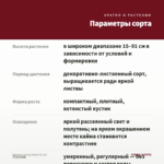 Колеус Loving Heart (0,1л) — параметры сорта