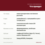 Колеус Loving Heart (0,1л) — что приедет