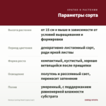 Колеус Loving Heart (срез/1шт) — параметры сорта