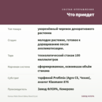 Колеус Main Street Abbey Road (0,1л) — что приедет