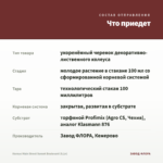 Колеус Main Street Sunset Boulevard (0,1л) — что приедет