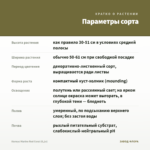Колеус Marine Red Coral (0,1л) — параметры сорта