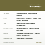 Колеус Marine Red Coral (0,1л) — что приедет