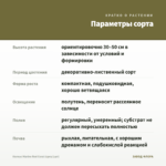 Колеус Marine Red Coral (срез/1шт) — параметры сорта