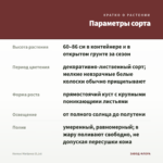Колеус Mariposa (0,1л) — параметры сорта