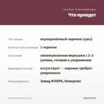 Колеус Марипоза (срез/1шт) — что приедет