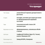 Колеус Monkey Rust (0,1л) — что приедет