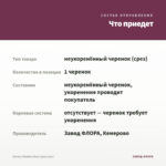 Колеус Monkey Rust (срез/1шт) — что приедет