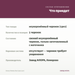 Колеус Monkey Rust (срез/1шт) — что приедет