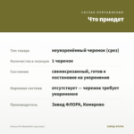 Колеус Mr. Wonderful (срез/1шт) — что приедет