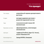 Колеус MS Beale Street (0,1л) — что приедет