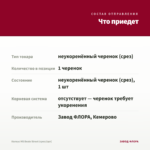 Колеус MS Beale Street (срез/1шт) — что приедет