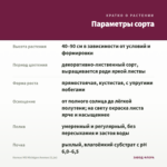 Колеус MS Michigan Avenue (0,1л) — параметры сорта