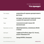 Колеус MS Michigan Avenue (0,1л) — что приедет