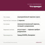 Колеус MS Michigan Avenue (срез/1шт) — что приедет
