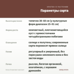 Колеус Остров Крит (срез/1шт) — параметры сорта