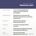 Колеус Оthello (0,1л) — параметры сорта