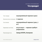 Колеус Оthello (срез/1шт) — что приедет