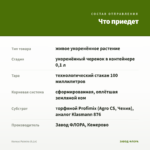 Колеус Palmira (0,1л) — что приедет