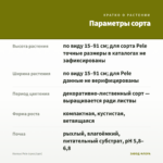 Колеус Pele (срез/1шт) — параметры сорта