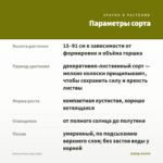 Колеус Pele (срез/1шт) — параметры сорта