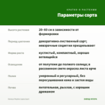 Колеус Pepino (срез/1шт) — параметры сорта