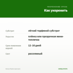 Колеус Pepino (срез/1шт) — как укоренить черенок