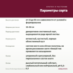 Колеус Perilla Gages Shadow (0,1л) — параметры сорта