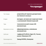 Колеус Perilla Gages Shadow (0,1л) — что приедет