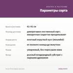 Колеус Perilla Magilla (срез/1шт) — параметры сорта