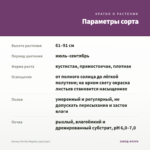 Колеус Perilla Magilla (срез/1шт) — параметры сорта