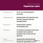 Колеус Peter's Wonder (0,1л) — параметры сорта